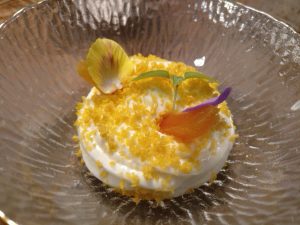 Esponjoso de yogur_medusa